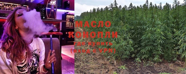 хмурый Инсар