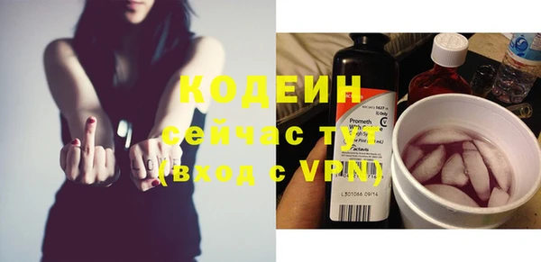 хмурый Инсар