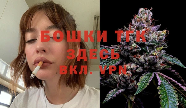 хмурый Инсар