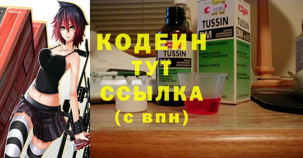 хмурый Инсар