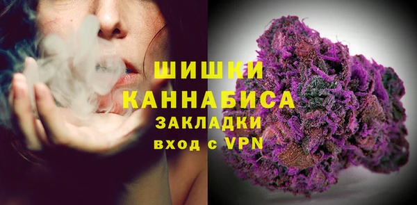 хмурый Инсар