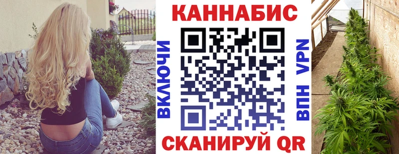Купить закладки  Чадан  Шишки марихуана конопля 